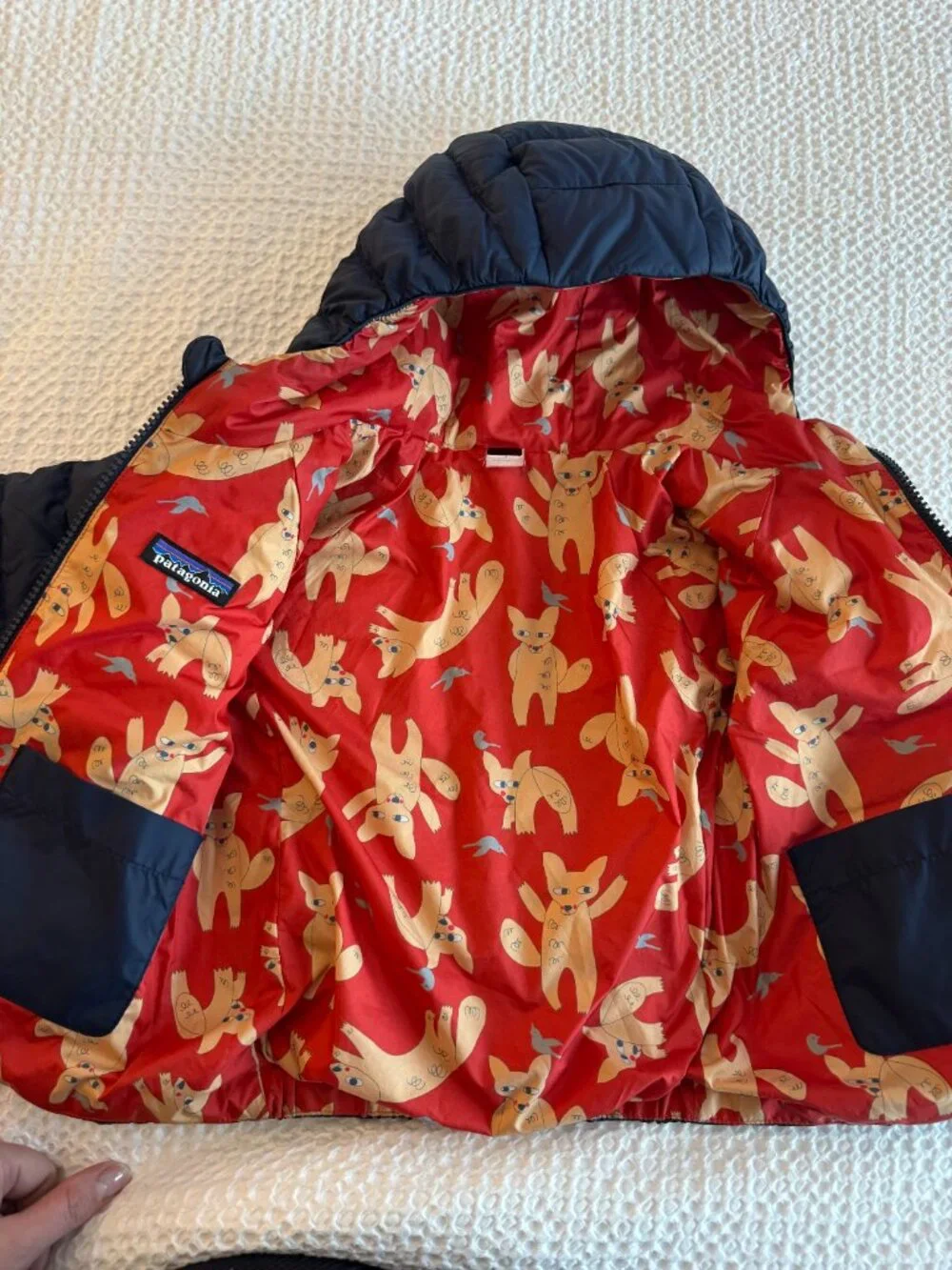 Patagonia excellent baby